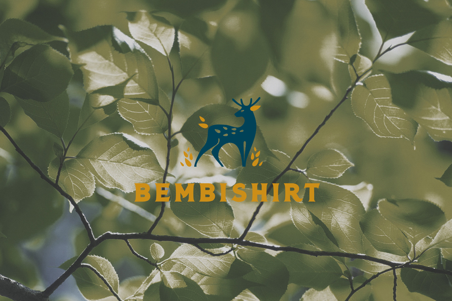 Bembishirt - эко ткани и эко одежда (ОАЭ) (338)