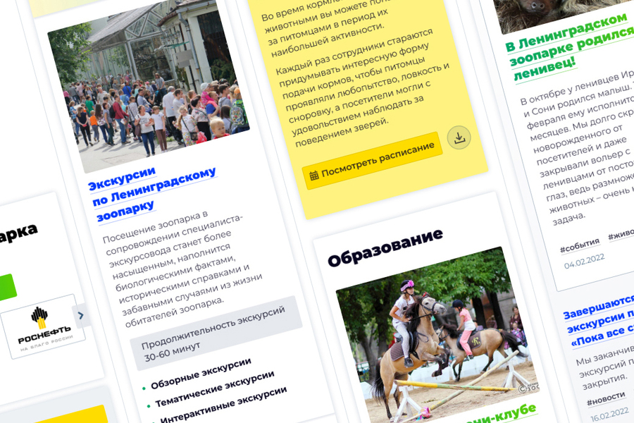 Сайт Ленинградского зоопарка (UX/UI, проектирование, ре-дизайн) (256)