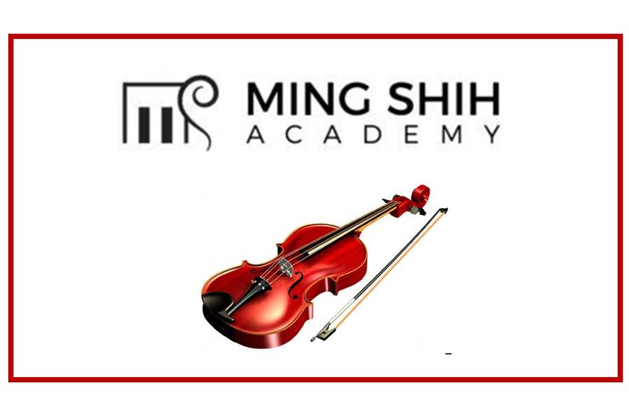 Перевод методики обучения игре на скрипке (766)
