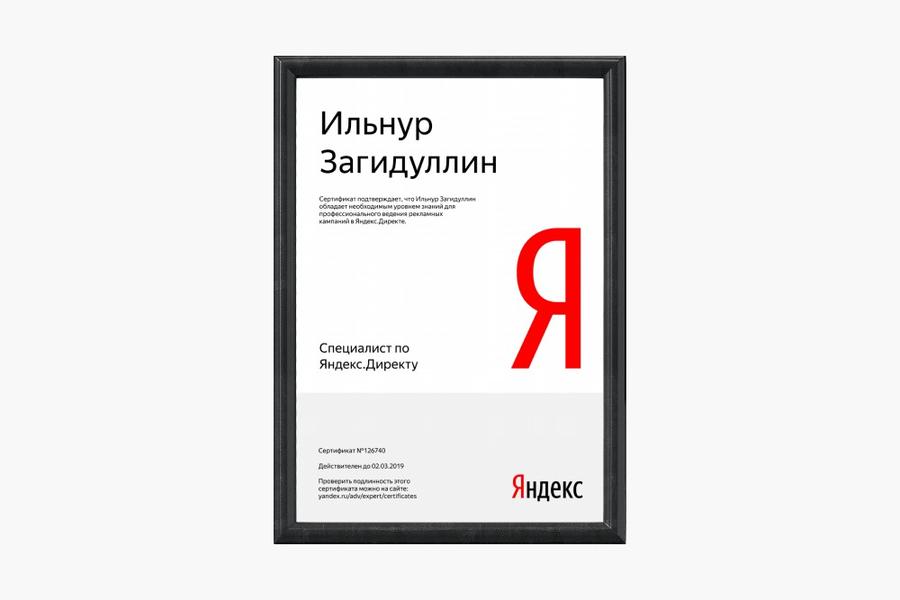 Специалист по Яндекс Директу (1110)
