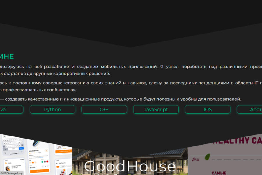 Разработка сайта-визитки (4313)