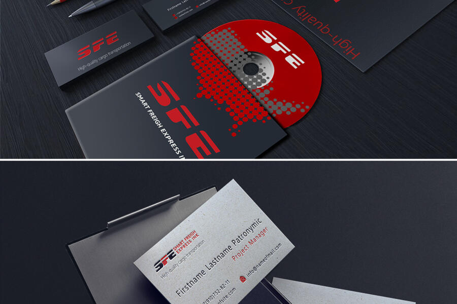 Фирменный стиль и брендбук компании SFE (4901)