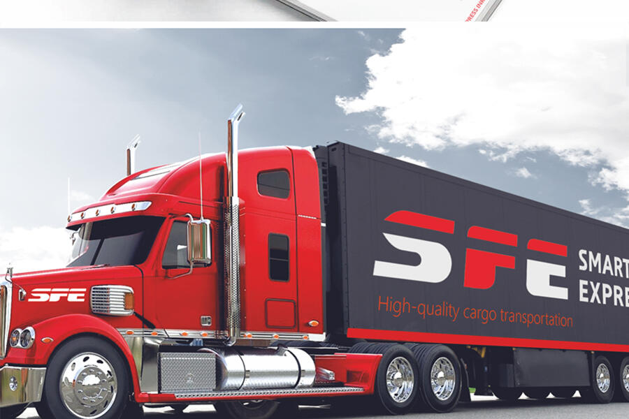 Фирменный стиль и брендбук компании SFE (4899)