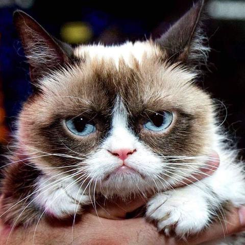 Леонид Виноградов