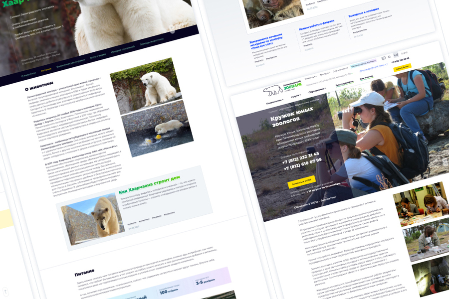 Сайт Ленинградского зоопарка (UX/UI, проектирование, ре-дизайн) (260)