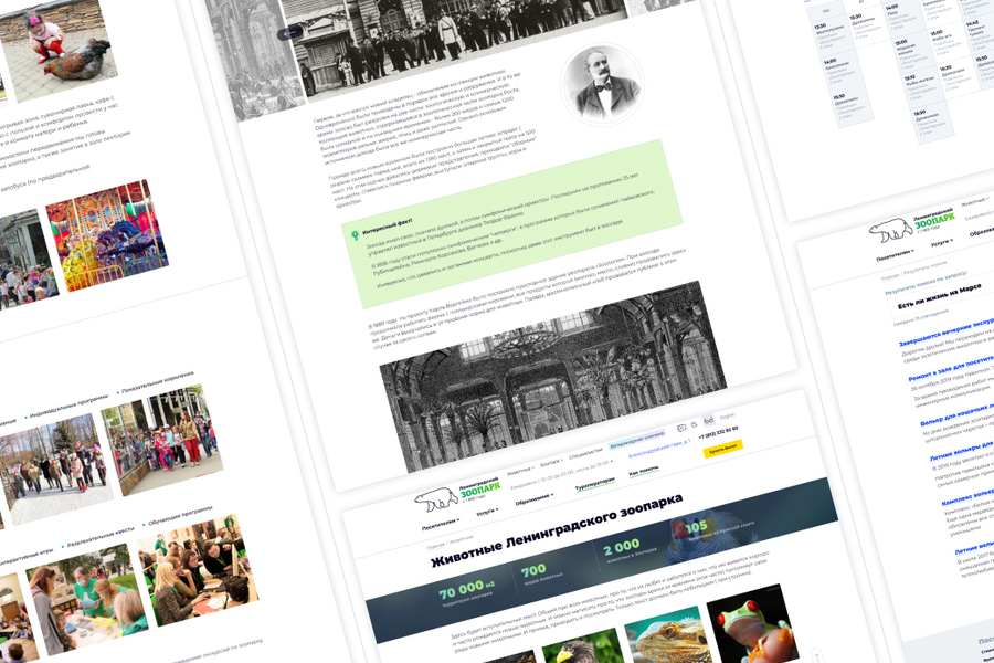 Сайт Ленинградского зоопарка (UX/UI, проектирование, ре-дизайн) (259)