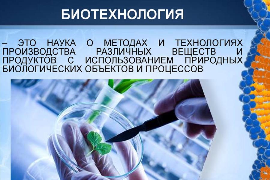 Изображение 1065