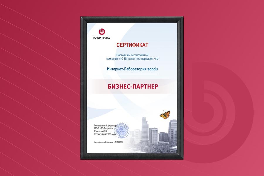 Бизнес-партнер 1с-Битркис (1100)