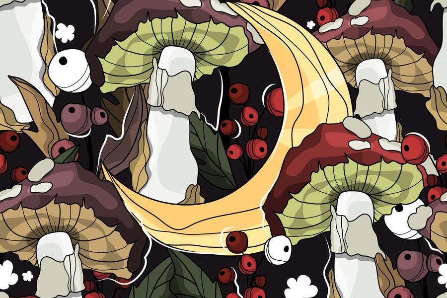 Авторские иллюстрации (1312)