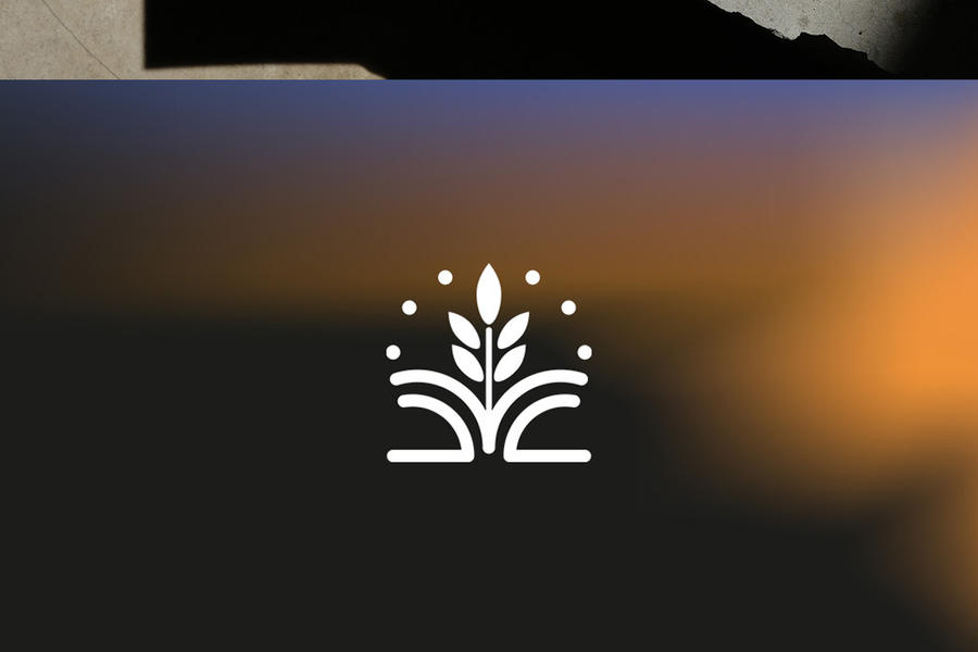 Изображение 1281