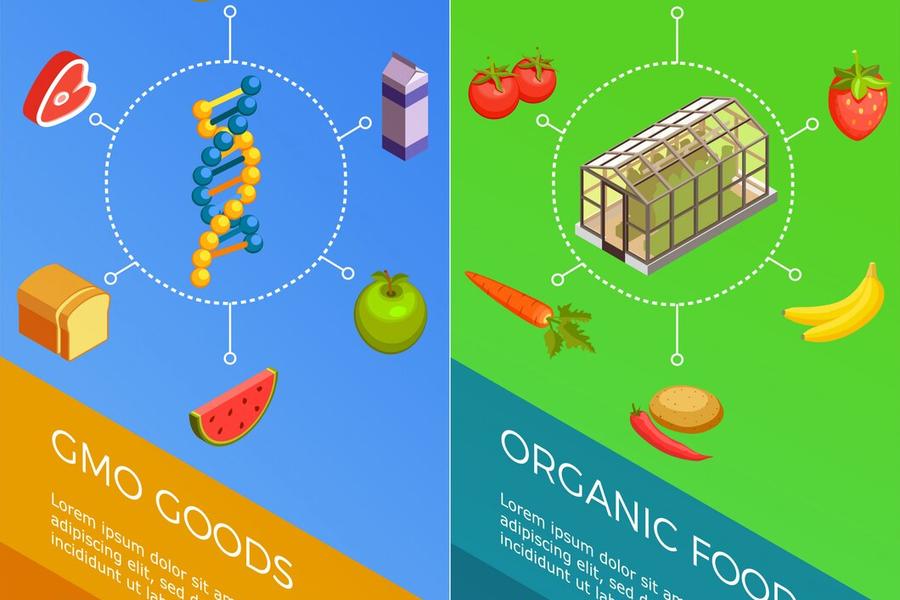 Изображение 1405