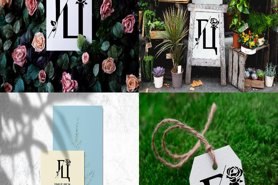 Изображение 1810