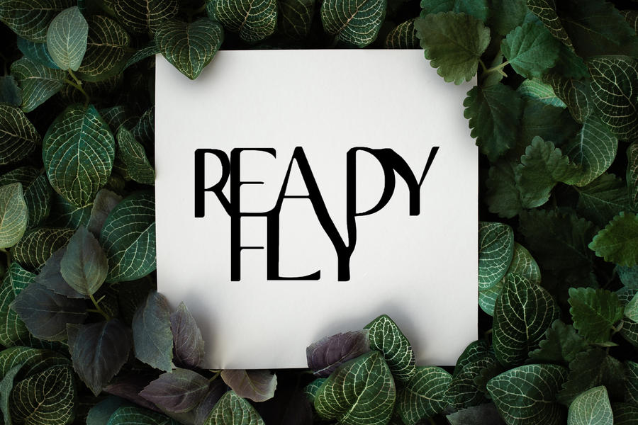 Изображение 1814