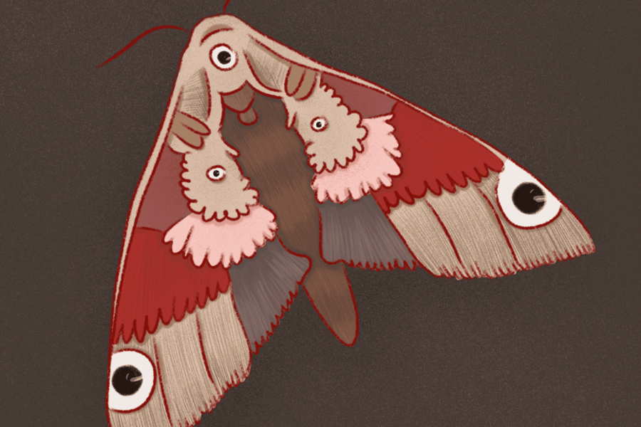 Иллюстрации (2186)