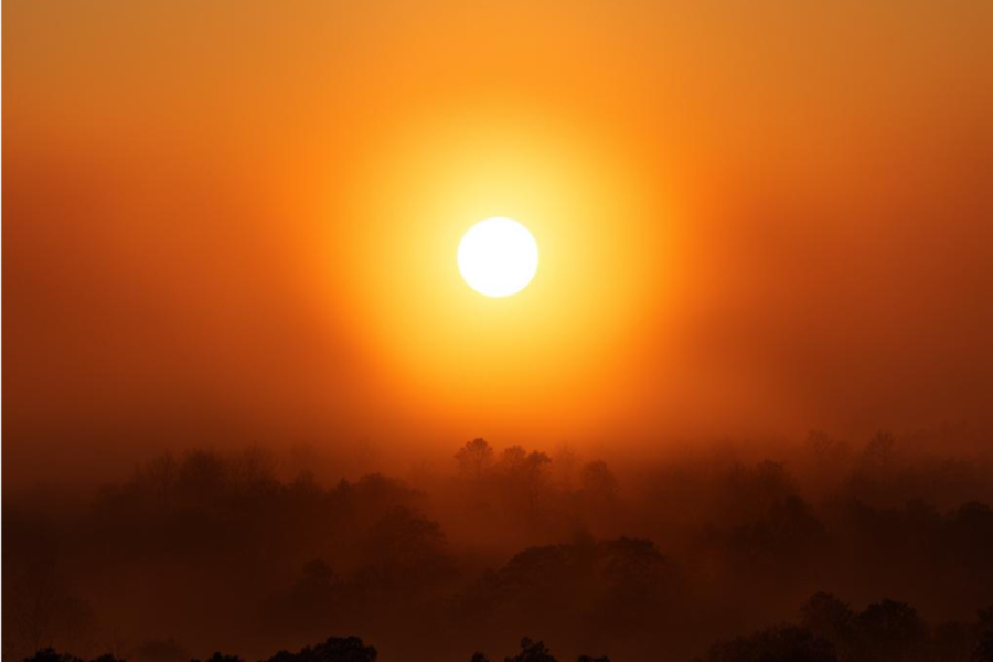 Изображение 2464