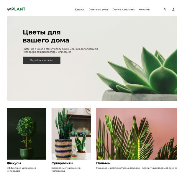 Изображение 2459