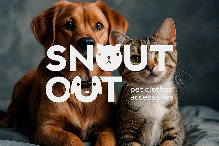 Изображение 4005