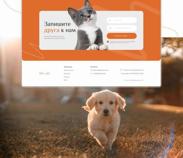 Лэндинг грумеров (4324)