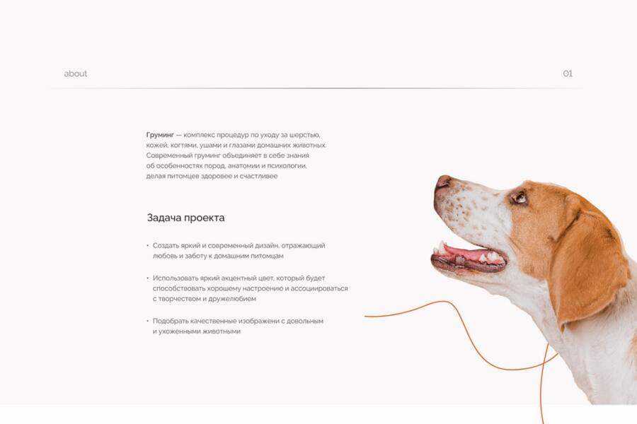 Лэндинг грумеров (4325)