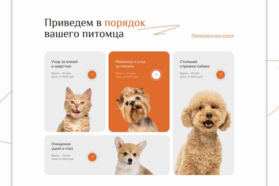 Лэндинг грумеров (4328)