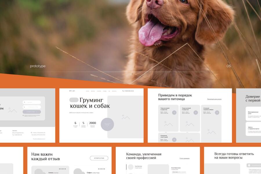 Лэндинг грумеров (4326)