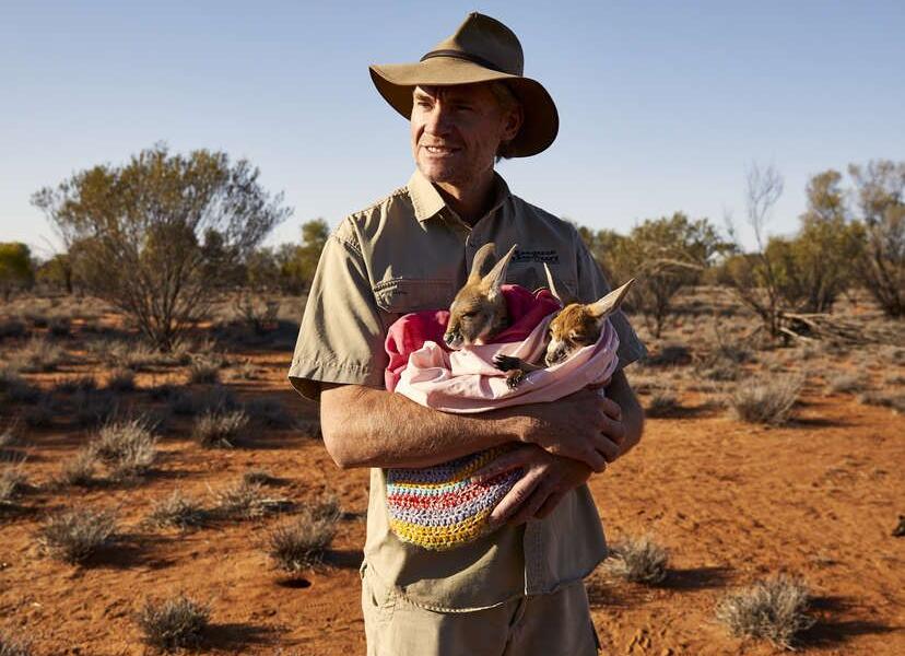 Цифровая трансформация малого бизнеса в Австралии (4556)