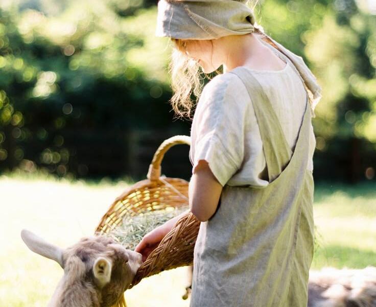 Цифровая трансформация малого бизнеса в Австралии (4554)