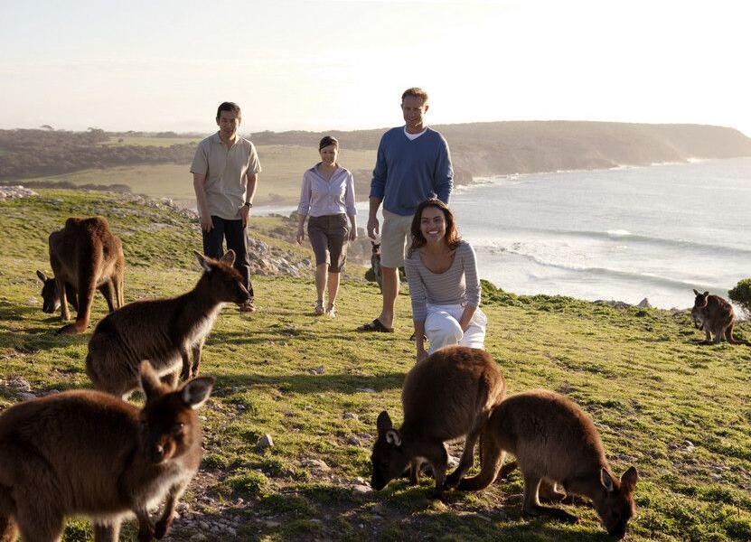 Цифровая трансформация малого бизнеса в Австралии (4558)