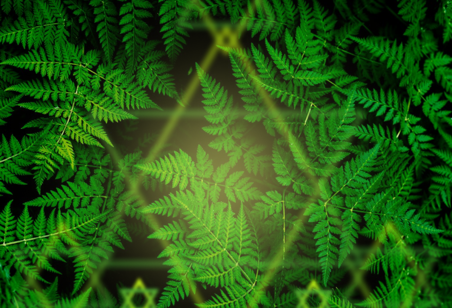 Плакаты (5223)